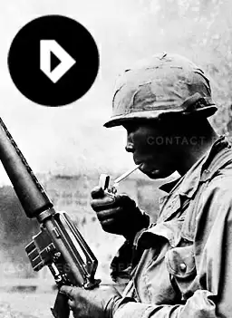 Дневник американца о вьетнамской войне. Часть 3 - Дэвид Паркс