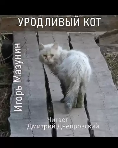 Уродливый кот - Игорь Мазунин