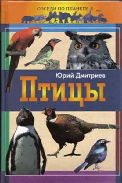 Птицы - Юрий Дмитриев
