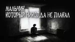 Мальчик, который никогда не плакал - Василий Завадский