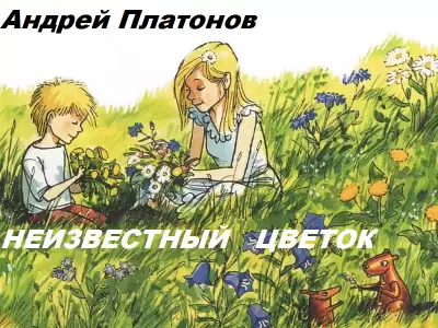 Неизветный цветок - Андрей Платонов