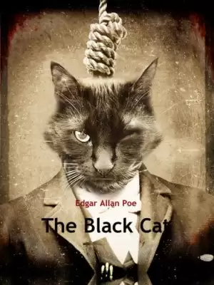 Черный кот - Эдгар Аллан По