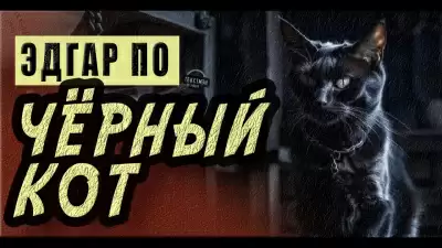 Черный кот - Эдгар По