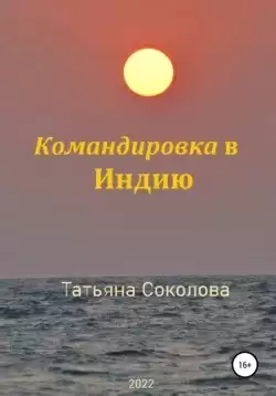 Командировка в Индию - Татьяна Соколова